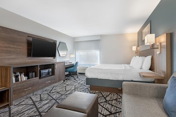Standard Room, 1 King Bed, Non Smoking, Refrigerator & Microwave (with Sofabed)