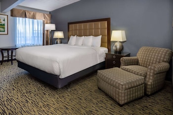 Room, 1 King Bed, Non Smoking