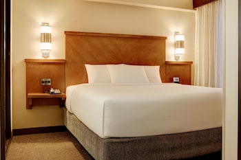 Room, 1 King Bed