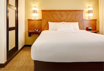 Room, 1 King Bed