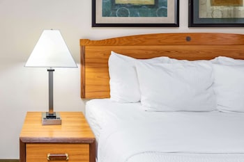 Deluxe Suite, 1 King Bed, Non Smoking (Limited View)