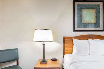 Room, 1 Double Bed, Accessible, Non Smoking (Mobility/Hearing Impaired Accessible)