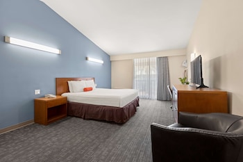 Deluxe Room, 1 King Bed