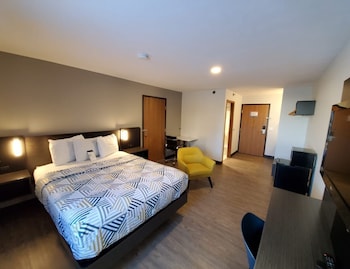 Deluxe Room, 1 Queen Bed, Non Smoking, Refrigerator & Microwave