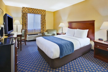Room, 1 Double Bed, Accessible, Non Smoking