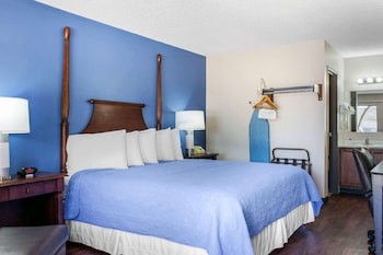 Room, 1 King Bed, Accessible, Non Smoking