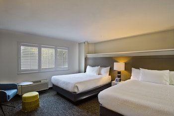 Executive 2 Queen Suite