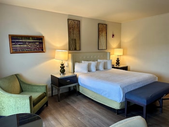 Deluxe Room, 1 King Bed, Non Smoking