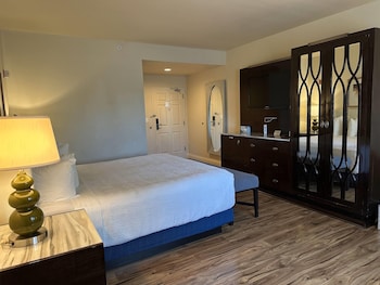 Deluxe Room, 1 King Bed, Non Smoking