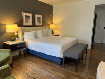 Room, 1 King Bed, Accessible, Non Smoking (Mobility/hearing, Roll-in Shower)