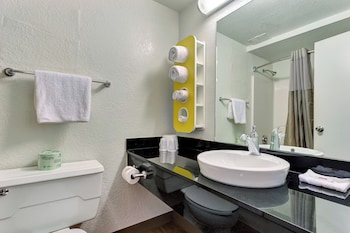 Deluxe Room, 1 King Bed, Roll-in Shower, Refrigerator