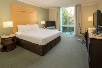 Standard Room, 1 King Bed, Roll-in Shower (Communications, Mobil, Roll-In Shower)