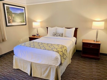 Room, 1 Double Bed, Accessible, Non Smoking