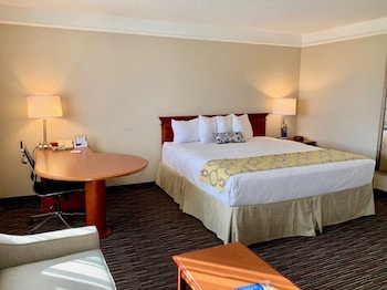 Suite, 1 King Bed, Non Smoking