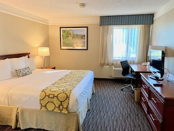 Suite, 1 King Bed, Non Smoking (One-Bedroom Suite)
