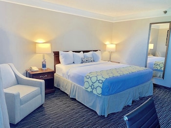 Room, 1 King Bed, Non Smoking