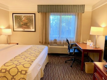 Room, 1 King Bed, Accessible, Non Smoking