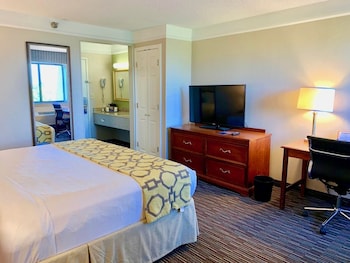 Room, 1 Double Bed, Accessible, Non Smoking
