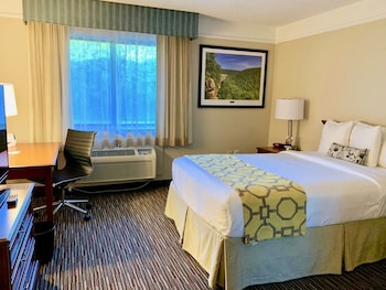 Room, 1 Double Bed, Accessible, Non Smoking
