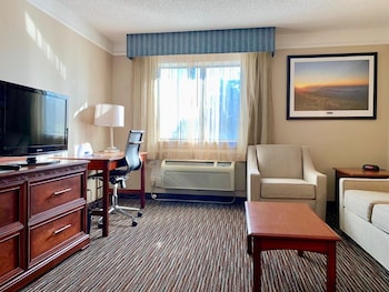 Suite, 1 King Bed, Non Smoking (One-Bedroom Suite)