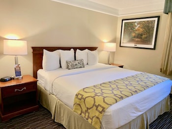 Room, 1 King Bed, Accessible, Non Smoking
