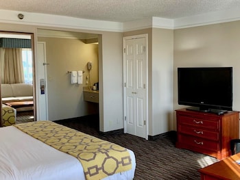 Suite, 1 King Bed, Non Smoking