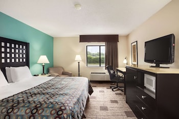 Room, 1 King Bed, Non Smoking