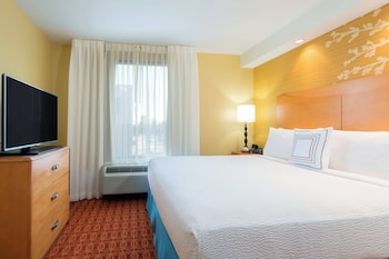 Room, 1 King Bed with Sofa bed