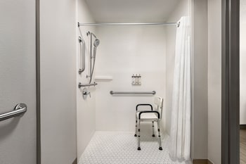 Standard Room, 1 Queen Bed, Roll-in Shower (Communications, Mobility Accessible)