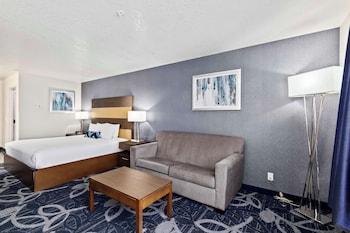 Standard Room, 1 King Bed, Non Smoking, Refrigerator & Microwave (with Sofabed)