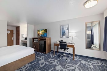Standard Room, 1 King Bed, Non Smoking, Refrigerator & Microwave