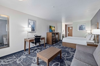Standard Room, 1 King Bed, Non Smoking, Refrigerator & Microwave (with Sofabed)