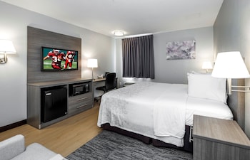 Superior Room, 1 King Bed, Accessible (Roll-In Shower, Smoke Free)