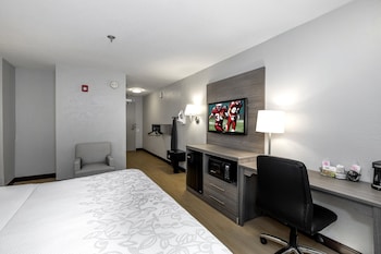 Superior Room, 1 King Bed, Accessible (Roll-In Shower, Smoke Free)