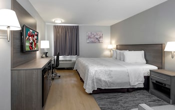 Superior Room, 1 King Bed, Accessible (Roll-In Shower, Smoke Free)