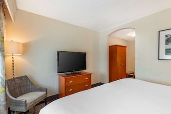 Suite, 1 King Bed, Non Smoking, Refrigerator & Microwave (with Sofabed)
