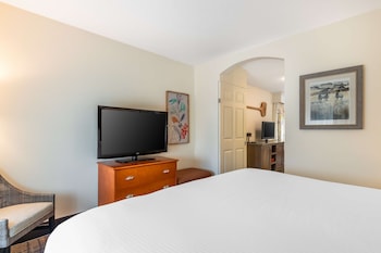 Executive Suite, 1 King Bed, Non Smoking, Refrigerator & Microwave (with Sofabed)