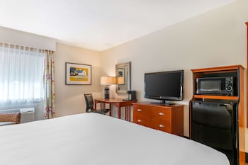 Standard Room, 1 King Bed, Accessible, Bathtub