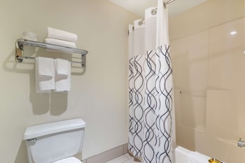 Standard Room, 1 King Bed, Non Smoking, Refrigerator
