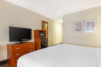 Standard Room, 1 King Bed, Accessible, Bathtub