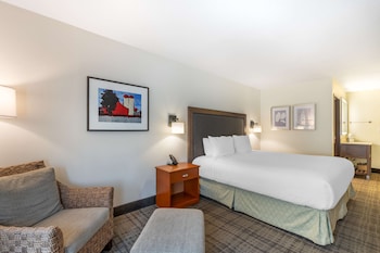 Standard Room, 1 King Bed, Non Smoking, Refrigerator