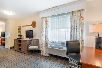 Executive Suite, 1 King Bed, Non Smoking, Refrigerator & Microwave (with Sofabed)