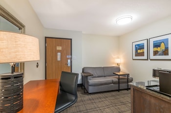 Suite, 1 King Bed, Non Smoking, Refrigerator & Microwave (with Sofabed)