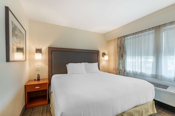 Suite, 1 King Bed, Non Smoking, Refrigerator & Microwave (with Sofabed)