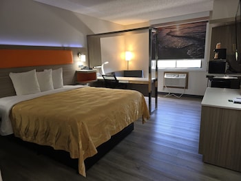 Standard Room, 1 King Bed, Non Smoking