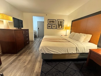 Room, 1 King Bed, Non Smoking