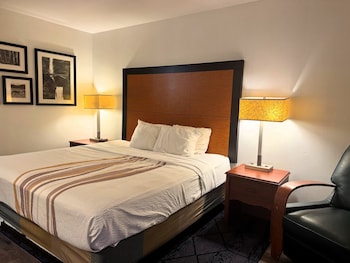 Room, 1 King Bed, Non Smoking