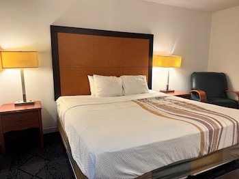 Room, 1 King Bed, Non Smoking
