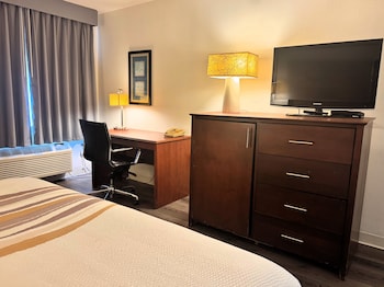 Room, 1 Double Bed, Non Smoking (Mobility/Hearing Impaired Accessible)
