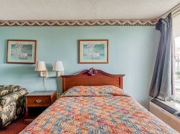 Room, 1 King Bed